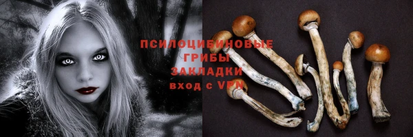 марки lsd Дмитров