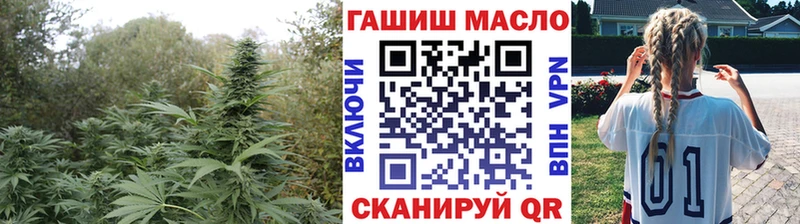 ТГК гашишное масло  Купить закладки  Грязовец 