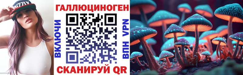 Псилоцибиновые грибы Cubensis  Купить  Грязовец 